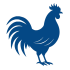 Aves de Corral