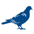 Palomas