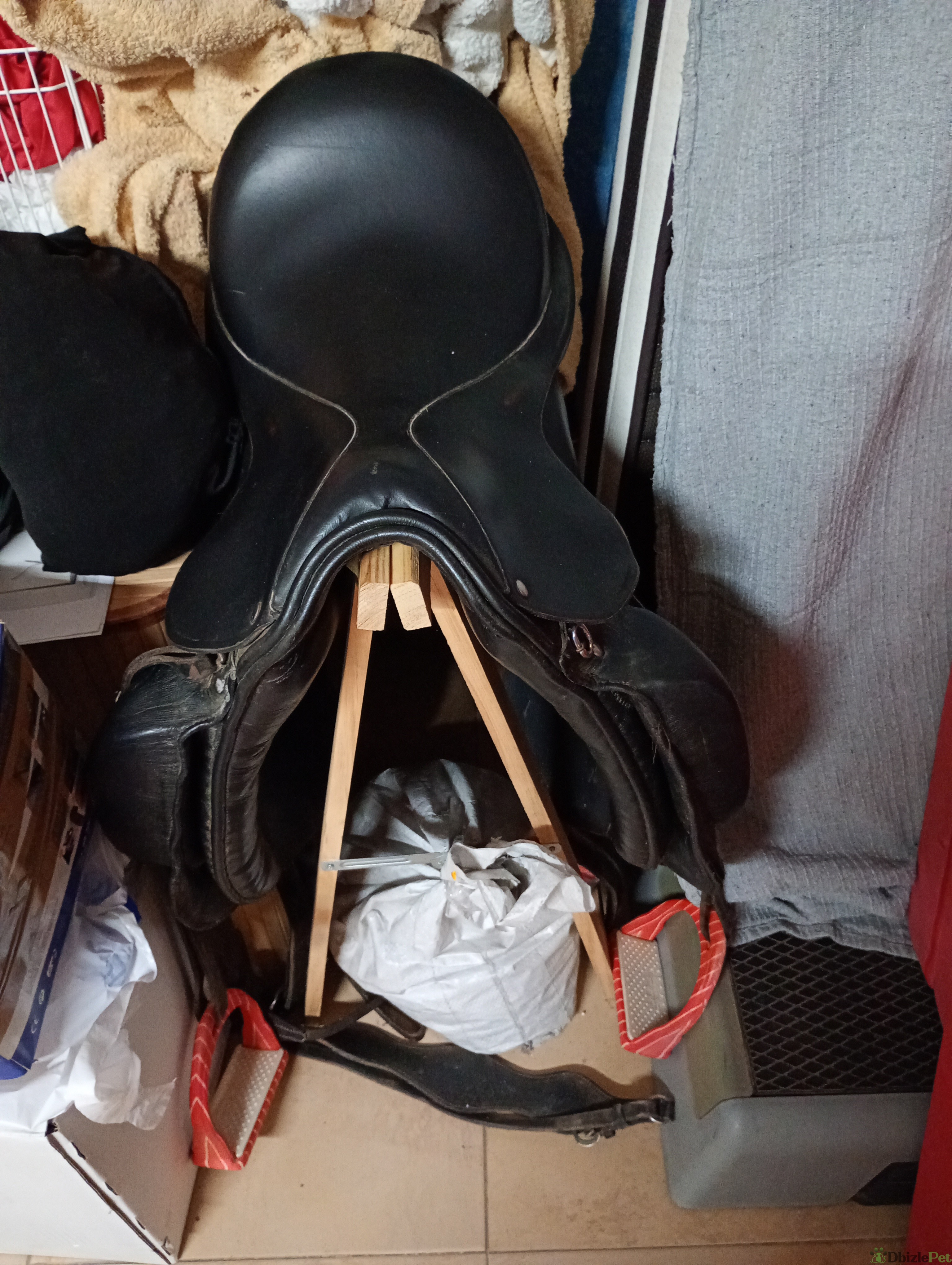 Montura caballo