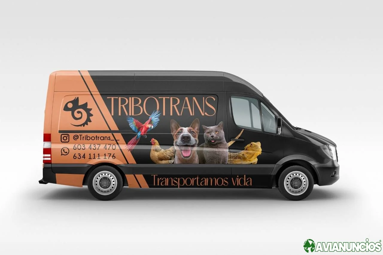 TRIBOTRANS