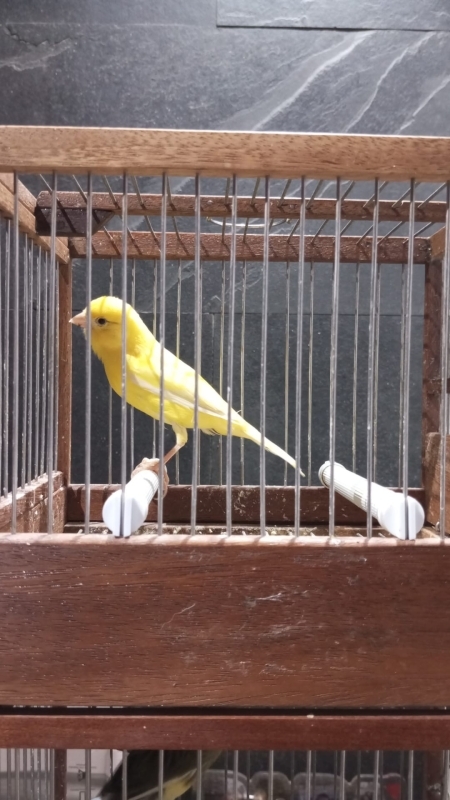 Diego