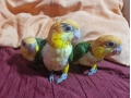 loros-caiques-cabeza-naranja-papilleros-small-0