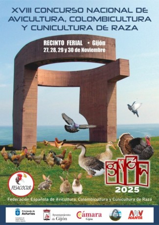 xviii-concurso-nacional-big-0