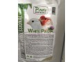 pasta-blanca-small-1