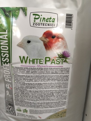pasta-blanca-big-1