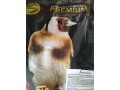 mixturas-canarios-small-3