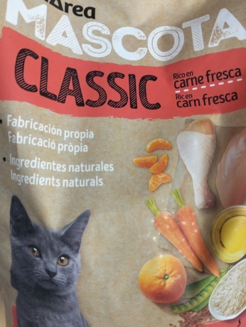 pienso-gato-big-0