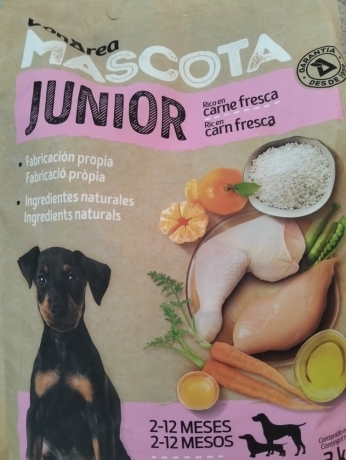 pienso-cachorro-big-0