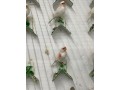 rojos-mosaicos-small-2