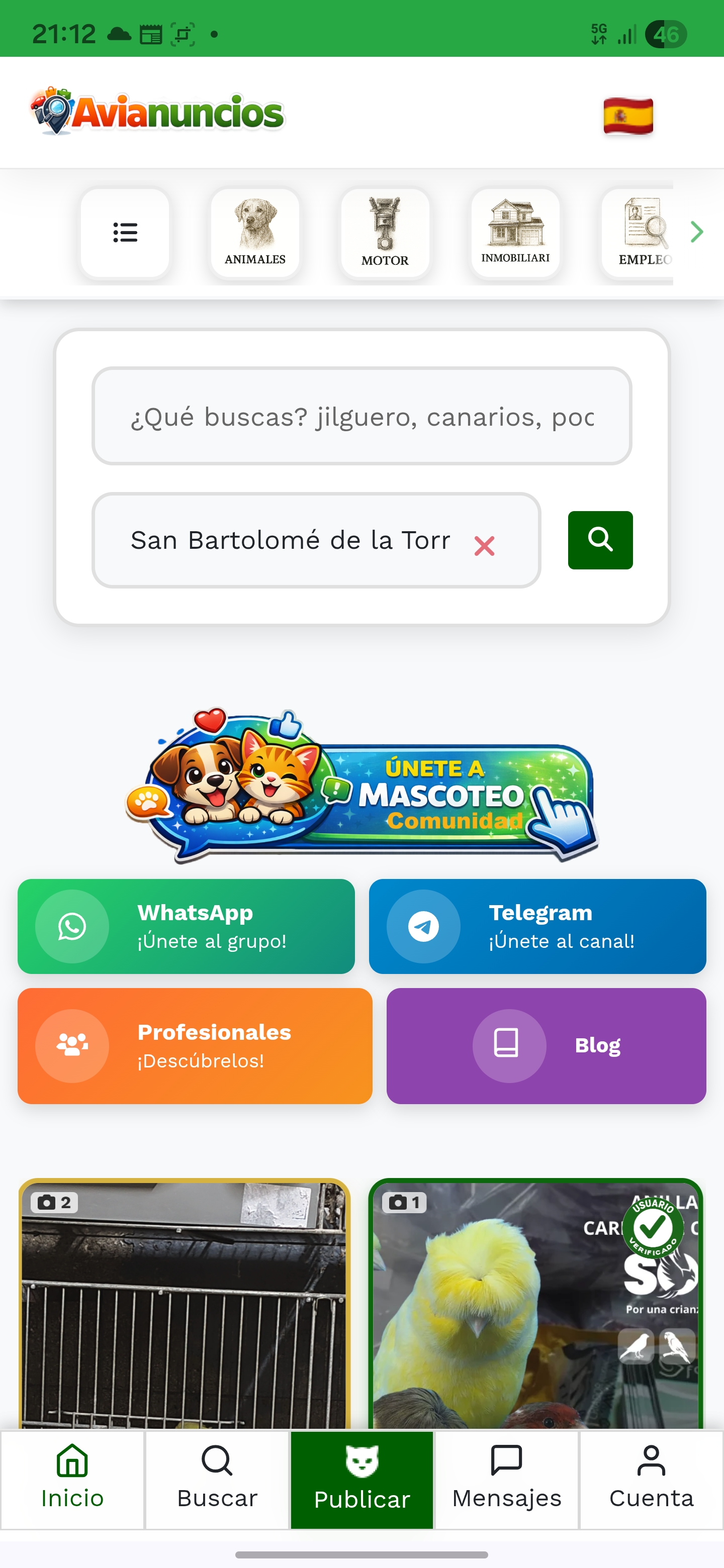 Antonio Alvarez. - Banner