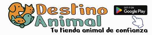 Banner 1