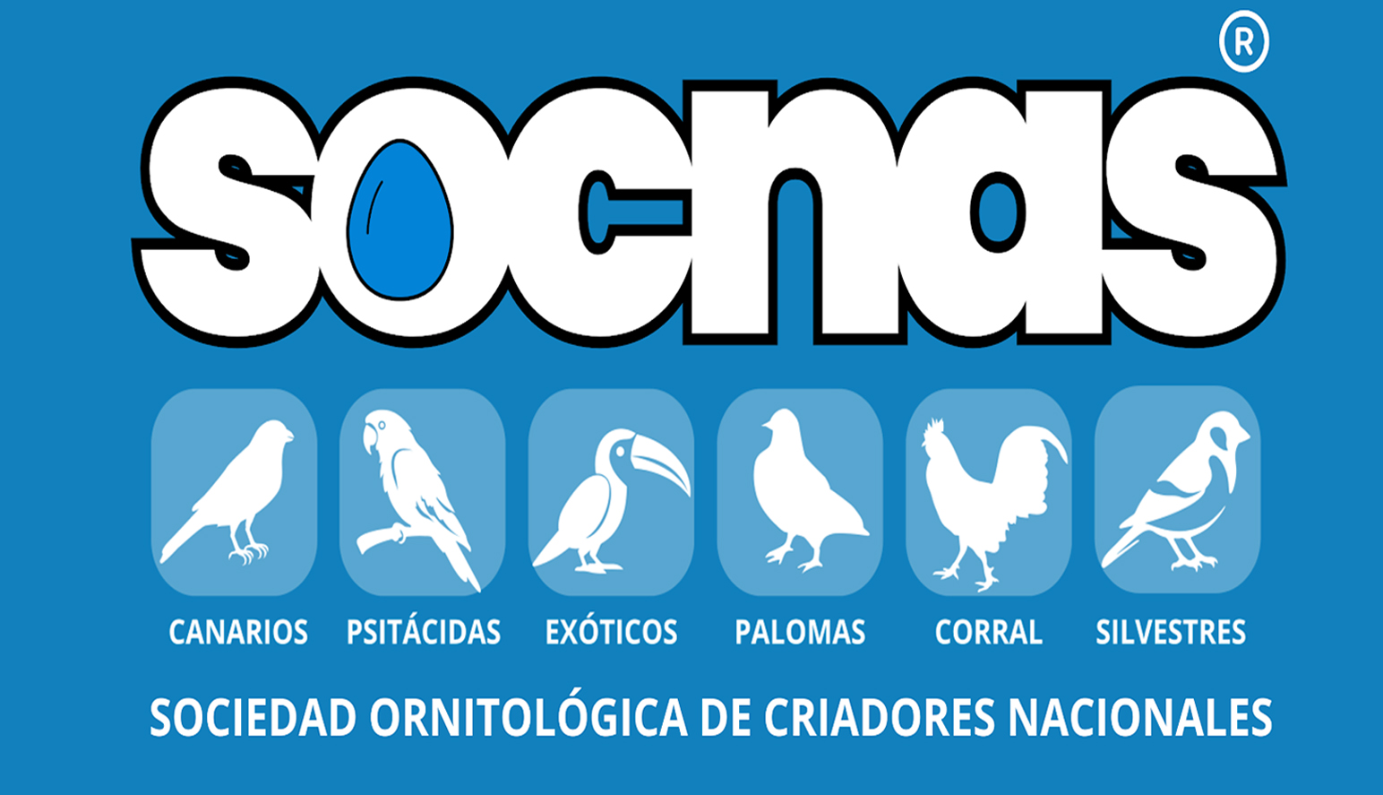 Banner SOCNAS